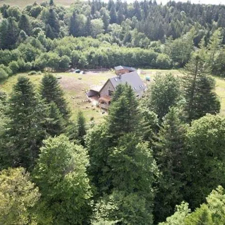 Le Domaine De La Louve Blanche Le Mont-Dore